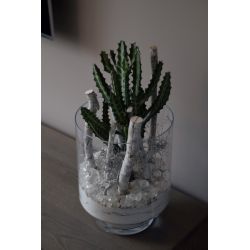 Totaal gerenoveerde hoekwoning in Volendam