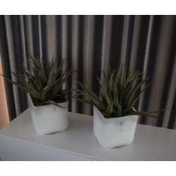 Totaal gerenoveerde hoekwoning in Volendam