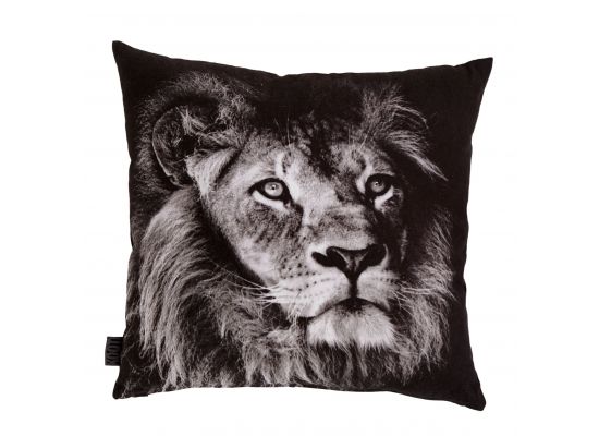 KA Lion Black 50x50