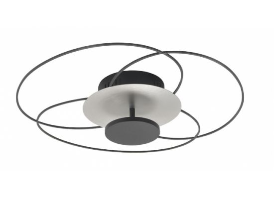 Plafondlamp cirkels zwart rvs